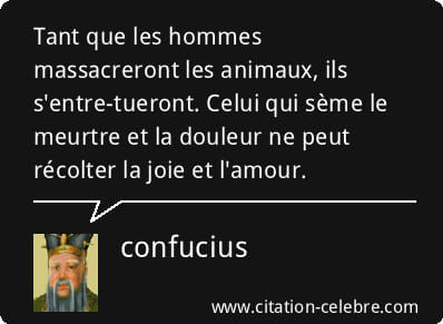 chasse confucius