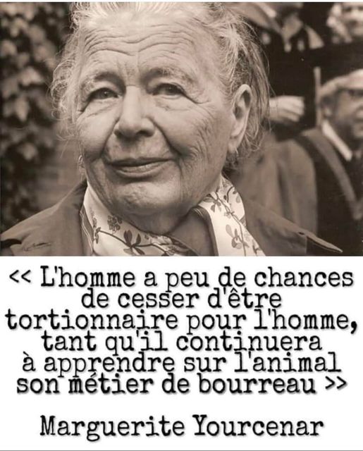 m Yourcenar